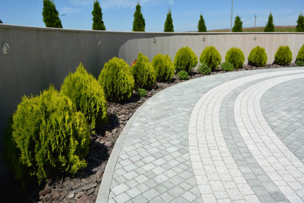 Reasons to Select Us for Your Driveway Paving Requirements in Lafayette, LA